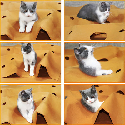 Tapete Interactivo Plegable para Gatos - Juguete Rascador Resistente a Mordidas - Image 10