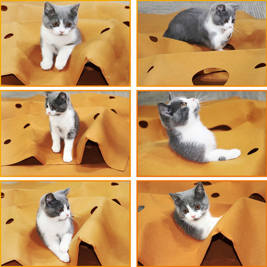 Tapete Interactivo Plegable para Gatos - Juguete Rascador Resistente a Mordidas - Image 10