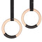 Anillas de Gimnasia Birch Rings - Entrenamiento Funcional Profesional