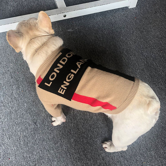 Suéter Cuello Redondo Patrón Cuadros Británico Disfraz Perro Teddy