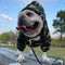 Ropa de Invierno para Perros Pequeños - Abrigo Térmico para Schnauzer, Bulldog Francés y Gatos