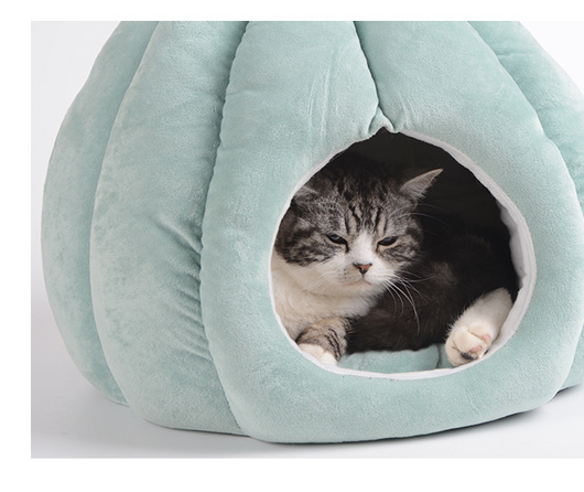 Casa Kennel para Perros Pequeños y Medianos con Diseño Cactus - Image 7