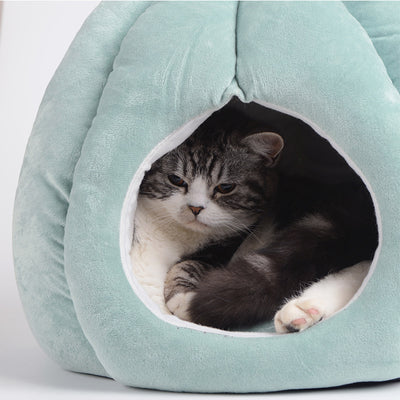 Casa Kennel para Perros Pequeños y Medianos con Diseño Cactus - Image 10