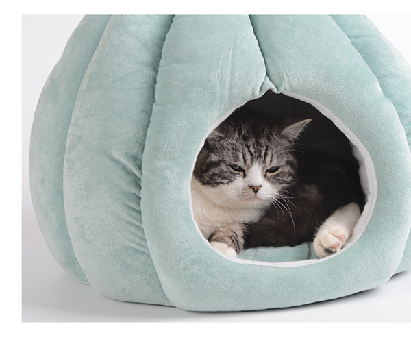 Casa Kennel para Perros Pequeños y Medianos con Diseño Cactus