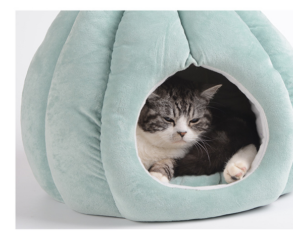 Casa Kennel para Perros Pequeños y Medianos con Diseño Cactus