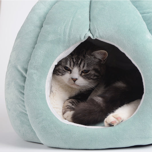 Casa Kennel para Perros Pequeños y Medianos con Diseño Cactus - Image 3