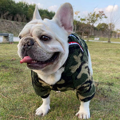 Ropa de Invierno para Perros Pequeños - Abrigo Térmico para Schnauzer, Bulldog Francés y Gatos - Image 13