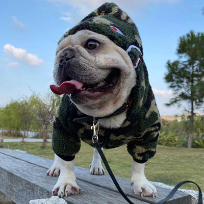 Ropa de Invierno para Perros Pequeños - Abrigo Térmico para Schnauzer, Bulldog Francés y Gatos - Image 10