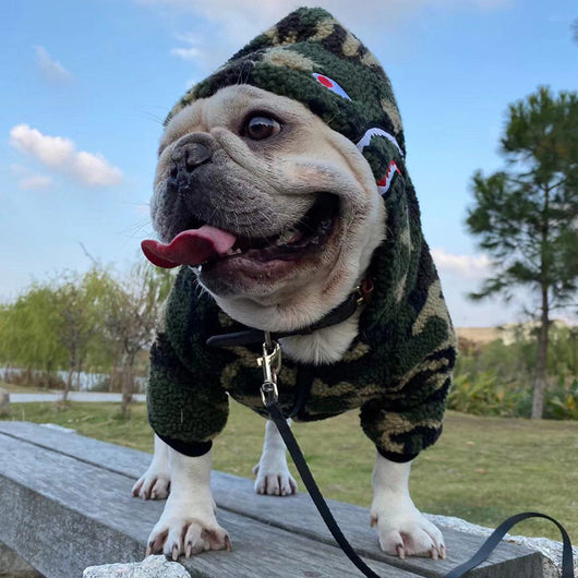 Ropa de Invierno para Perros Pequeños - Abrigo Térmico para Schnauzer, Bulldog Francés y Gatos - Image 10