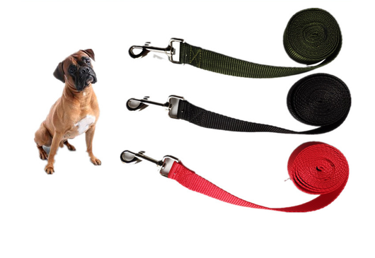 Correa para Perro Resistente de 2.5cm - Control Seguro y Cómodo