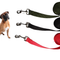 Correa para Perro Resistente de 2.5cm - Control Seguro y Cómodo