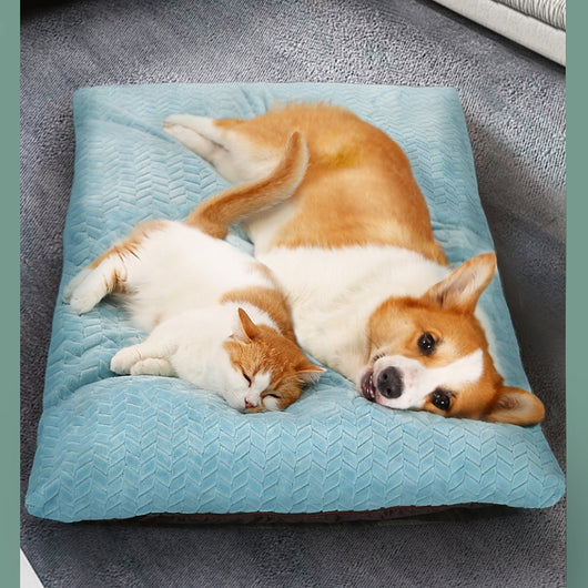 Colchoneta Térmica para Perros Resistente a Mordidas con Funda Lavable - Image 10
