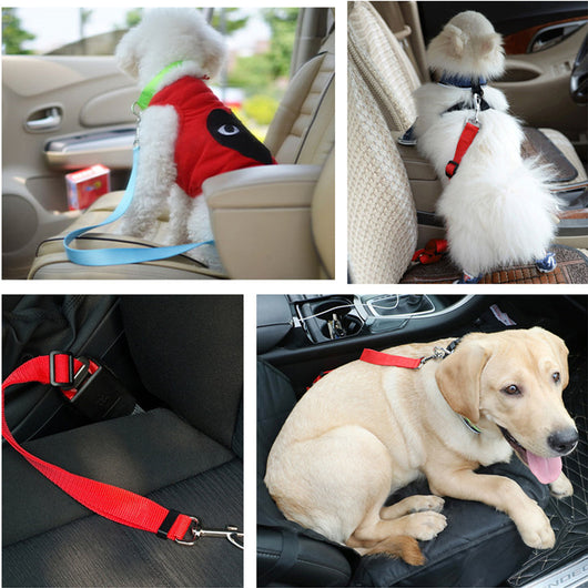 Arnés de Seguridad para Mascotas en Auto - Image 4
