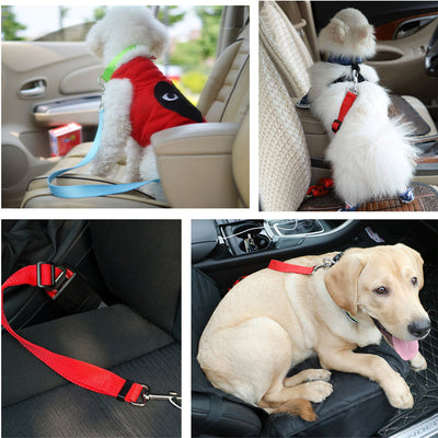 Arnés de Seguridad para Mascotas en Auto - Image 4