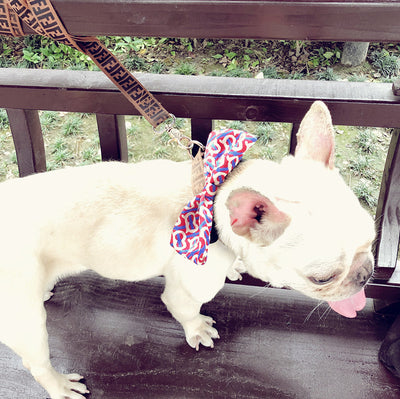 Corbata para Perro Removible Personalizable - Collar Elegante para Mascotas - Image 7