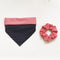 Collar Triangular para Mascotas con Sujetador de Cabello