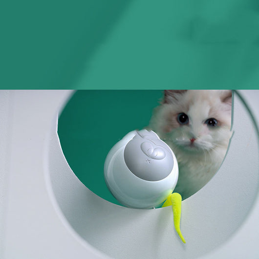 White LED luminous automatic cat rolling ball with a grey face design, yellow feather, and small bell. - Image 9
