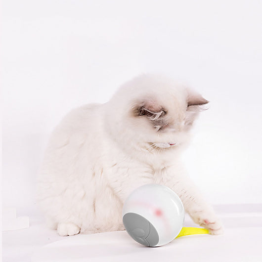 White LED luminous automatic cat rolling ball with a grey face design, yellow feather, and small bell. - Image 7
