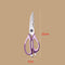 Morado Elegante Sin Tijeras Con Logo