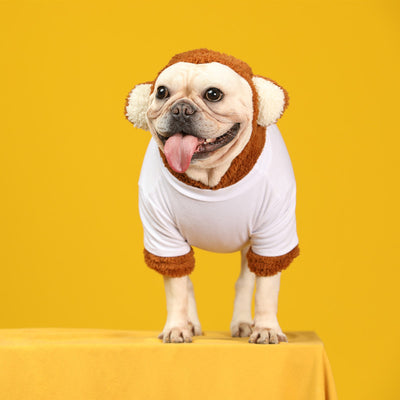 Conjunto de Dos Piezas Transformable Little Bear Pet Tide - Image 11