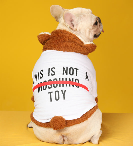 Conjunto de Dos Piezas Transformable Little Bear Pet Tide - Image 5