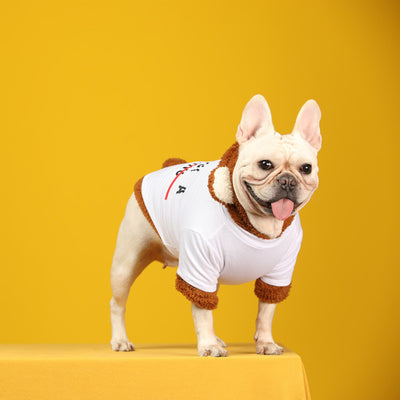 Conjunto de Dos Piezas Transformable Little Bear Pet Tide