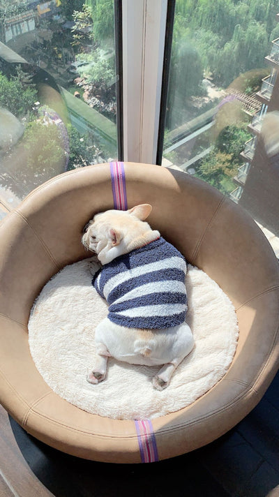 Suéter Rayado Suave para Perros - Abrigo Cómodo y Elegante - Image 10