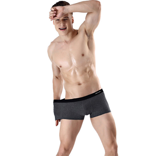 Ropa Interior Térmica Antártica para Hombre