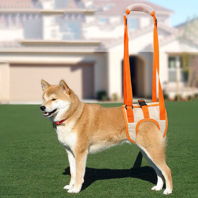 Arnés de Soporte Ajustable para Patas Traseras de Perros