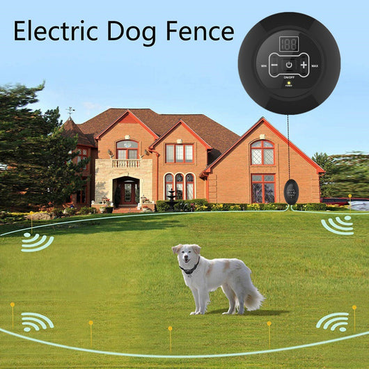 Collar Adiestramiento Electrónico Anti-Ladridos para Perros - Image 7
