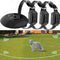 Collar Adiestramiento Electrónico Anti-Ladridos para Perros