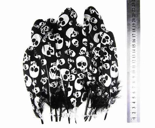 Plumas de Ganso Pintadas Bicromáticas para Manualidades - Image 3