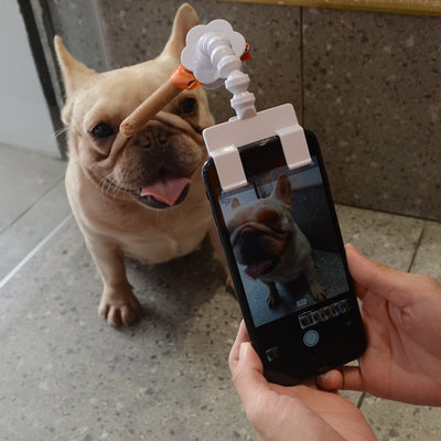 Soporte para Cámara Selfie con Clip - Fotos Divertidas de Mascotas - Image 8