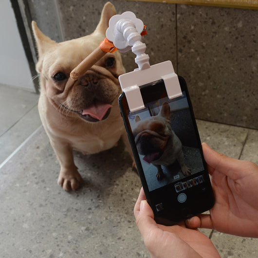 Soporte para Cámara Selfie con Clip - Fotos Divertidas de Mascotas