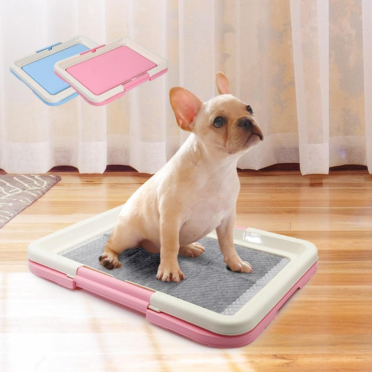 Arenero Entrenador para Perros - Inodoro Canino - Image 2