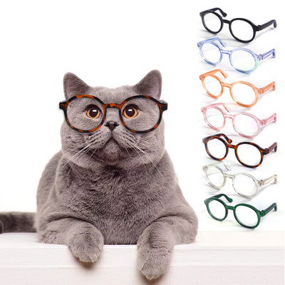 Gafas Transparentes para Gatos - Accesorios Divertidos - Image 10
