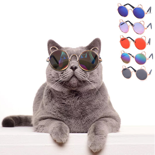 Gafas de Sol Adorables para Mascotas - Diseño Lúdico para Perros y Gatos - Image 13