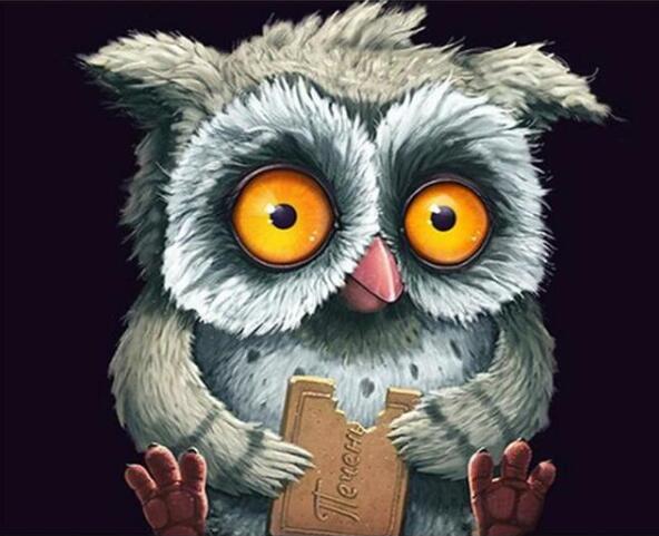 Kit de Pintura por Números Búho Divertido