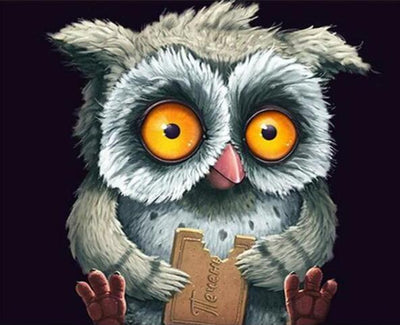 Kit de Pintura por Números Búho Divertido