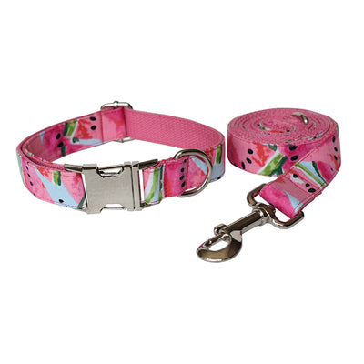 Collar y Correa para Perro Sandía - Diseño Fresco y Resistente - Image 11