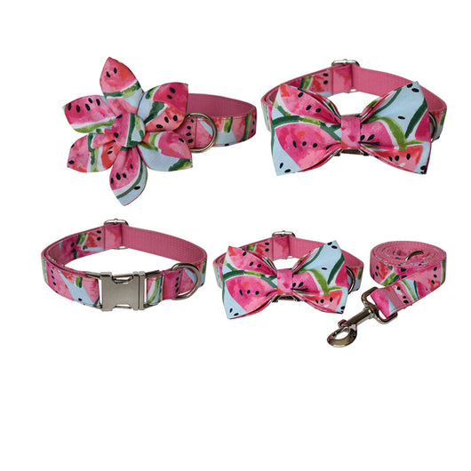 Collar y Correa para Perro Sandía - Diseño Fresco y Resistente - Image 7