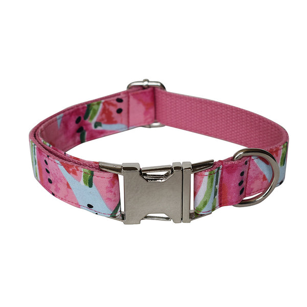Collar y Correa para Perro Sandía - Diseño Fresco y Resistente