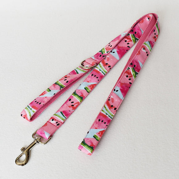 Collar y Correa para Perro Sandía - Diseño Fresco y Resistente