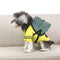 Mochila Transportadora para Perros Pequeños y Medianos - Diseño Trendy Fadou
