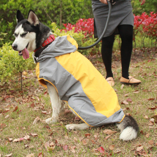 Impermeable Colorido para Perros Grandes - Chaqueta Transpirable para Exterior - Image 9