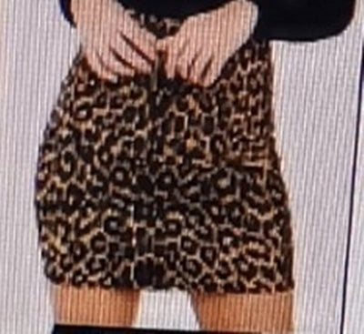 Falda Cintura Alta con Estampado de Leopardo y Bolsillo Lateral - Image 9