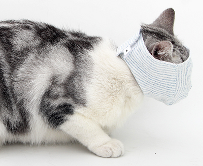 Máscara Respiratoria Protectora para Gatos - Antimordedera y Antiderrames - Image 5