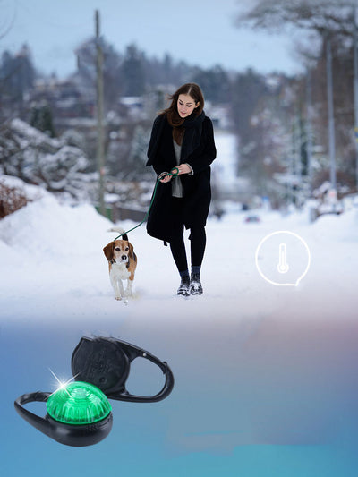 Collar LED Luminoso para Perros - Colgante Antiextravío con Luz Nocturna - Image 18