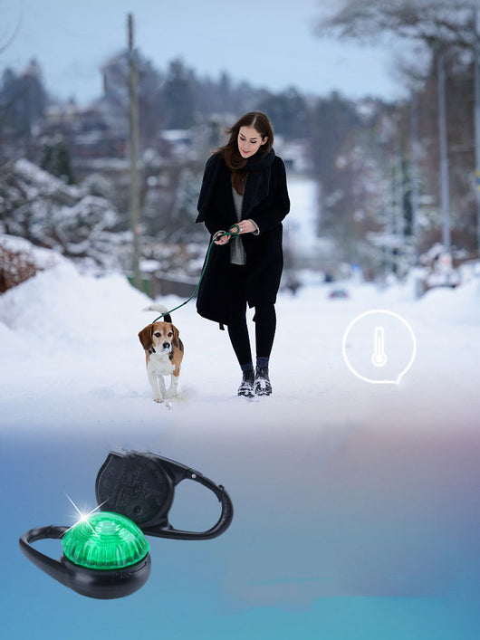 Collar LED Luminoso para Perros - Colgante Antiextravío con Luz Nocturna - Image 18
