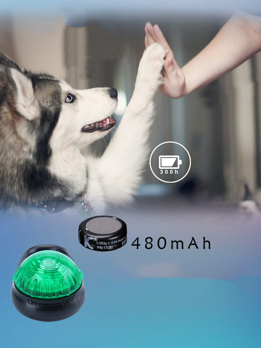 Collar LED Luminoso para Perros - Colgante Antiextravío con Luz Nocturna - Image 17